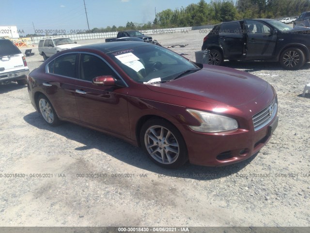 nissan maxima 2010 1n4aa5ap5ac801507