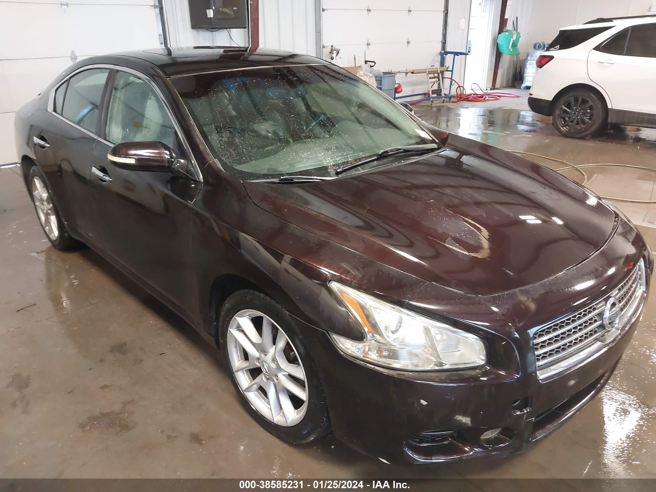 nissan maxima 2010 1n4aa5ap5ac803564