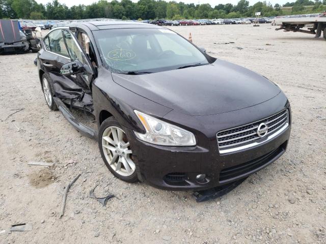 nissan maxima s 2010 1n4aa5ap5ac842204