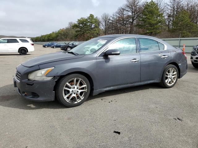 nissan maxima 2010 1n4aa5ap5ac845717