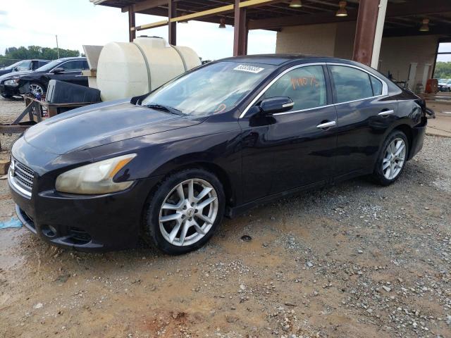 nissan maxima 2010 1n4aa5ap5ac849069