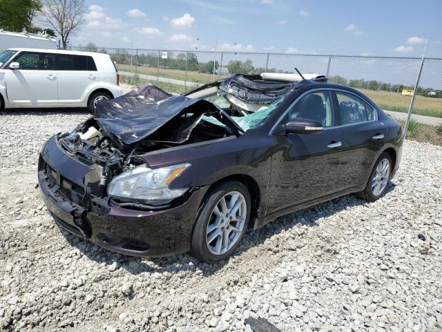 nissan maxima 2011 1n4aa5ap5bc818812