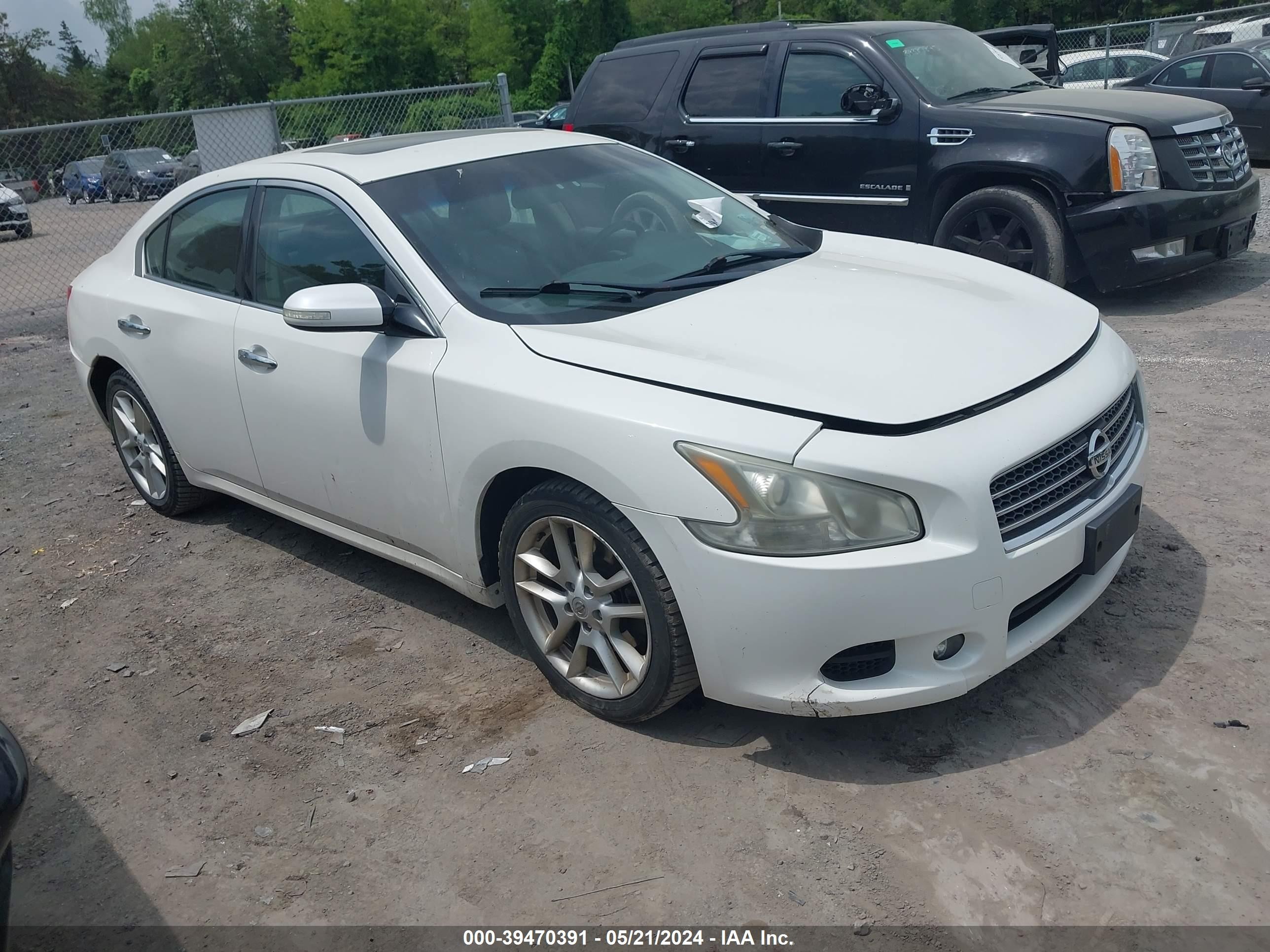 nissan maxima 2011 1n4aa5ap5bc867427