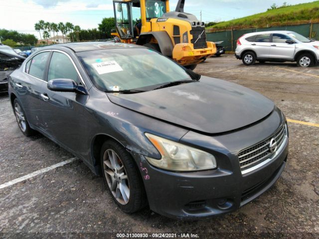 nissan maxima 2010 1n4aa5ap6ac824648