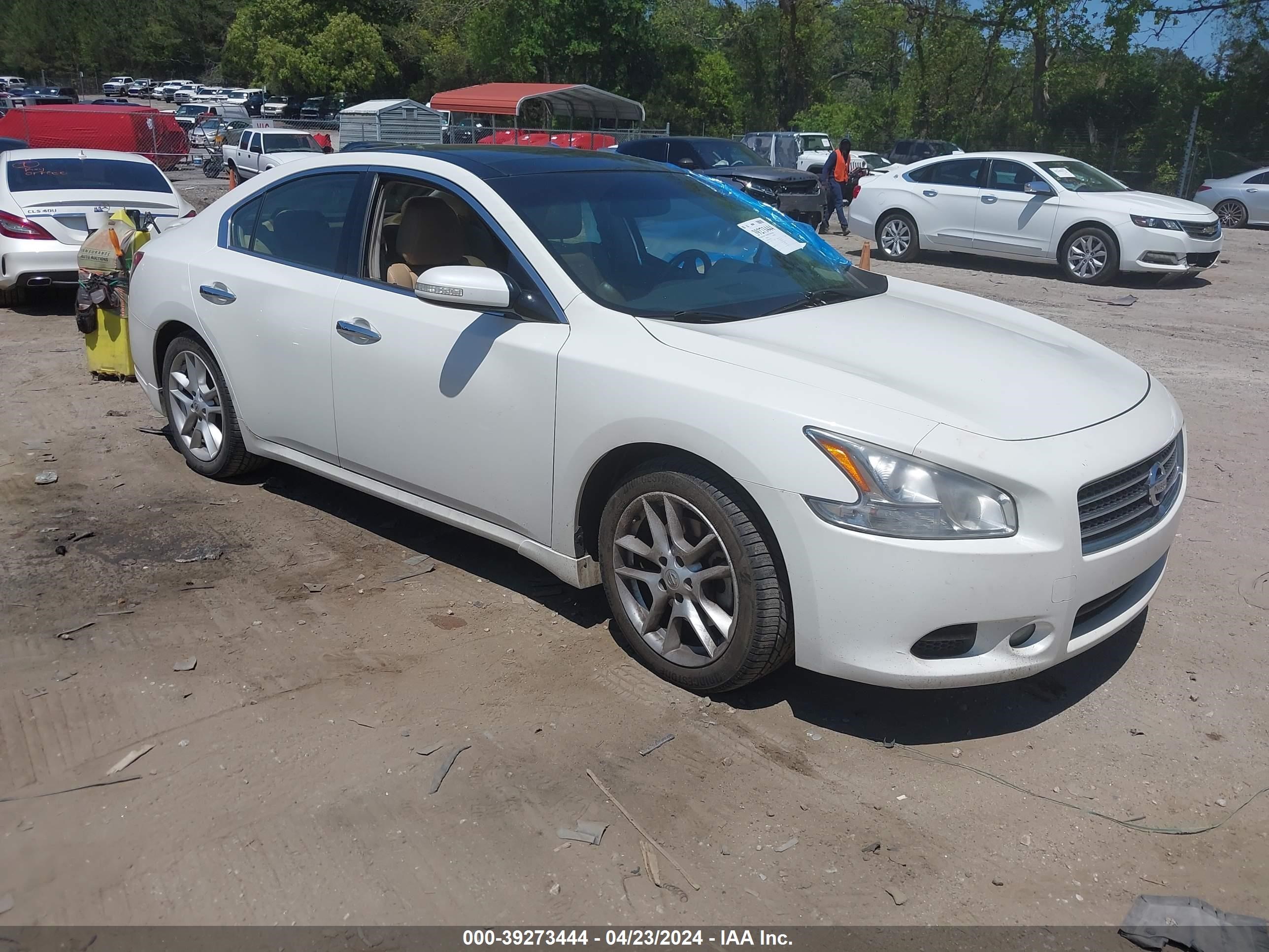 nissan maxima 2010 1n4aa5ap6ac829526