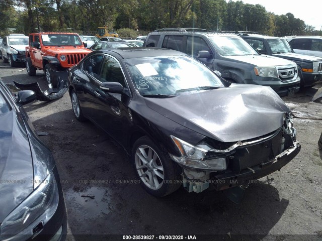 nissan maxima 2010 1n4aa5ap7ac811505