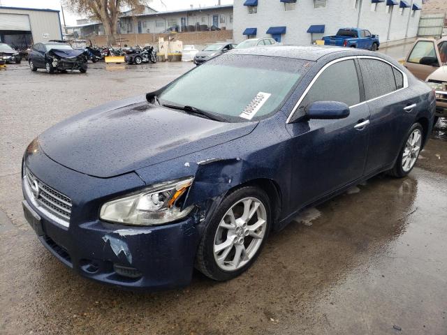 nissan maxima 2010 1n4aa5ap7ac814226