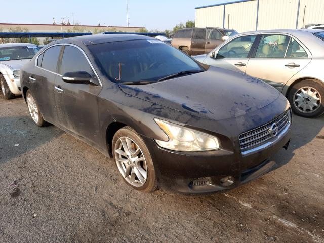 nissan maxima 2010 1n4aa5ap7ac831401