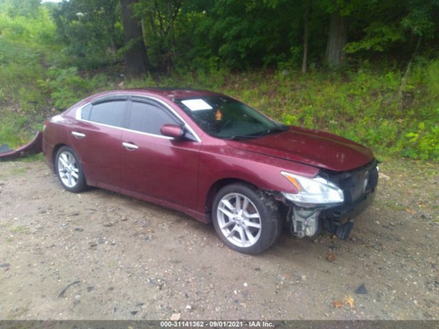 nissan maxima 2010 1n4aa5ap7ac852779