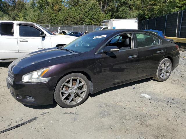 nissan maxima s 2010 1n4aa5ap7ac857500