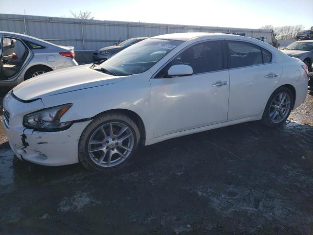 nissan maxima 2010 1n4aa5ap8ac816194