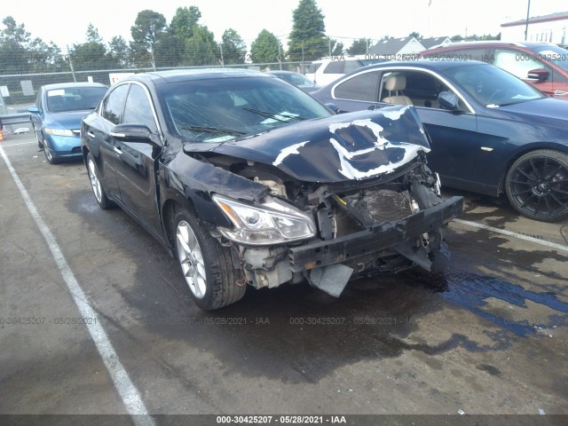 nissan maxima 2010 1n4aa5ap8ac827065