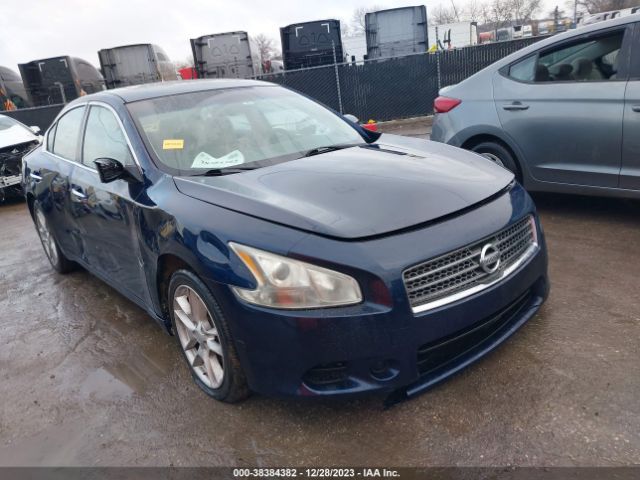 nissan maxima 2010 1n4aa5ap8ac834999