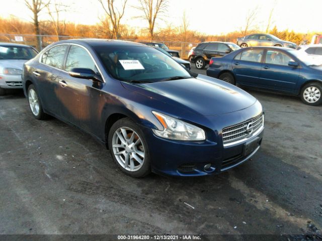 nissan maxima 2010 1n4aa5ap8ac836364