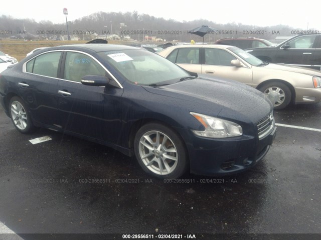 nissan maxima 2010 1n4aa5ap8ac839796