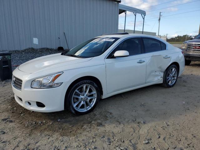 nissan maxima 2010 1n4aa5ap9ac840004