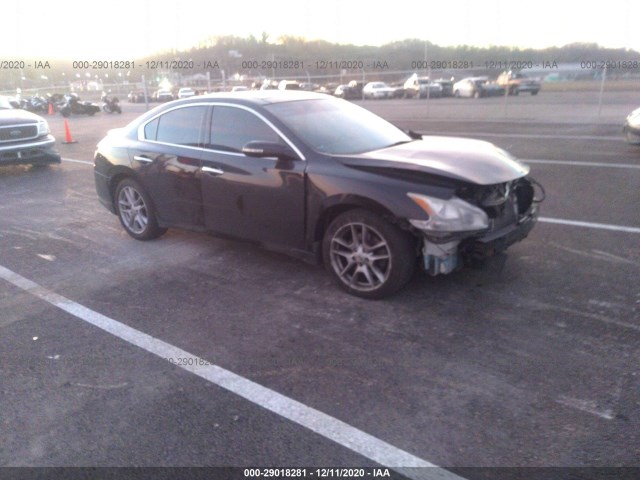 nissan maxima 2011 1n4aa5ap9bc828811