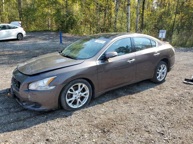 nissan maxima s 2012 1n4aa5ap9cc838384