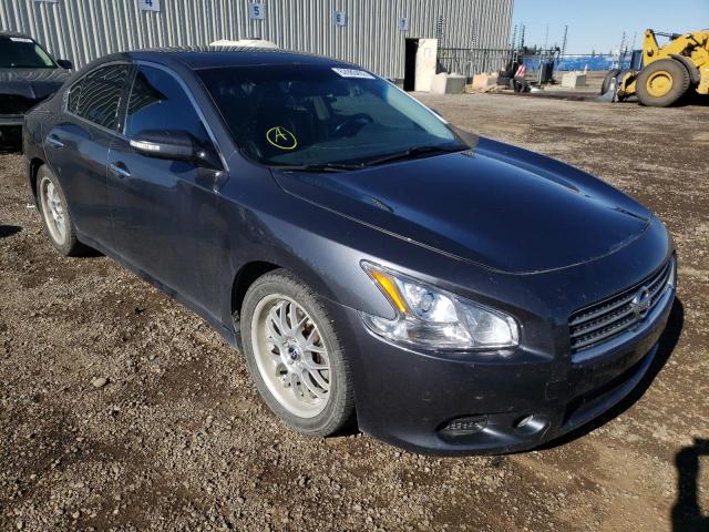 nissan maxima s 2010 1n4aa5apxac854283