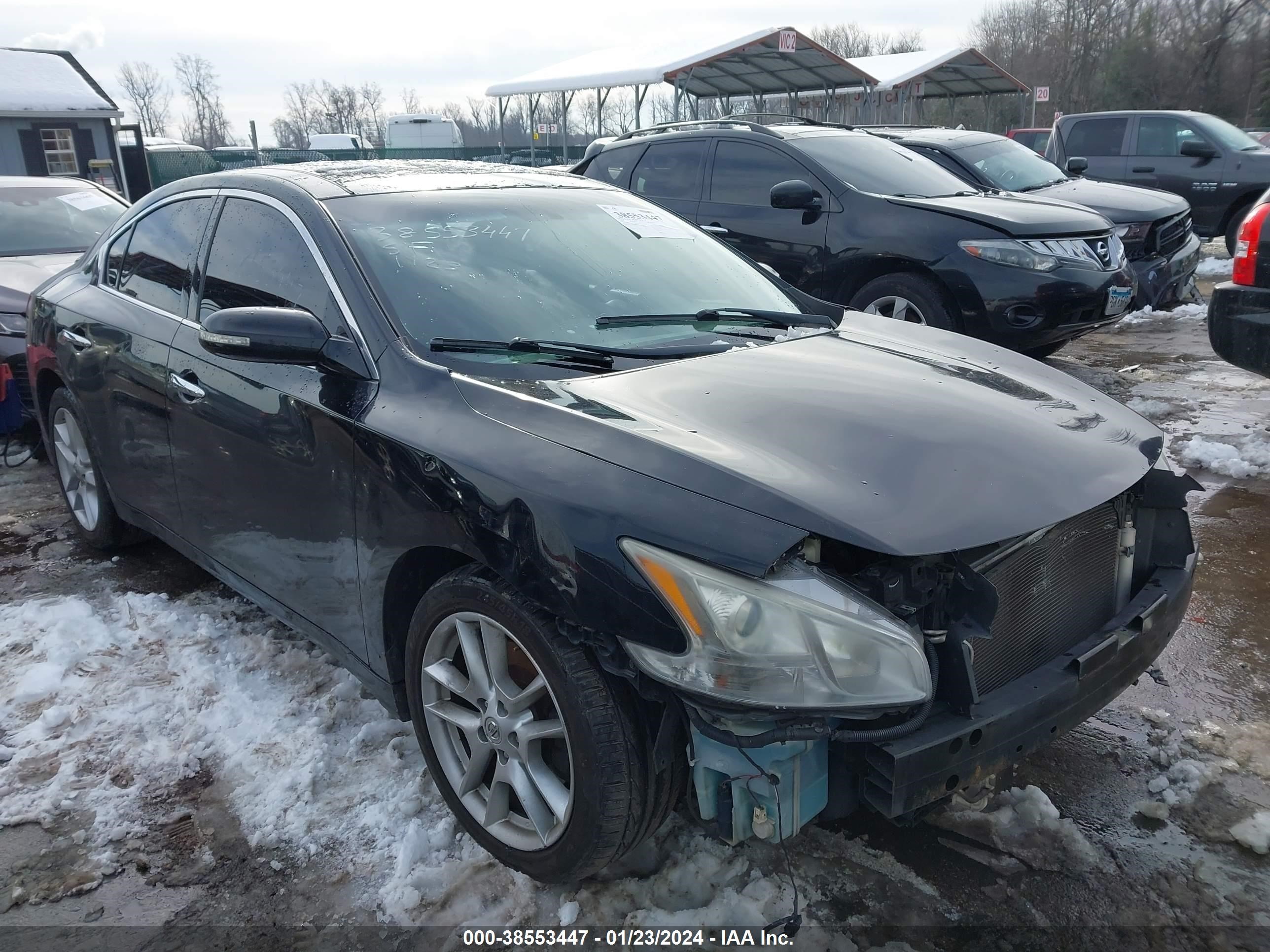 nissan maxima 2011 1n4aa5apxbc834570