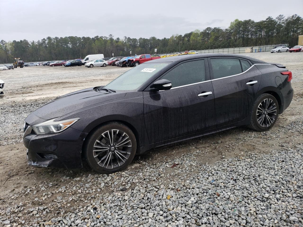 nissan maxima 3.5 2016 1n4aa6apxgc446901