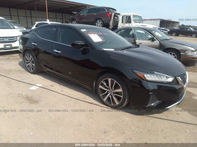 nissan maxima 2019 1n4aa6av1kc364529