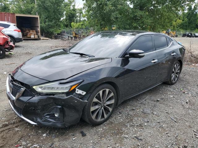 nissan maxima 2019 1n4aa6av1kc373666