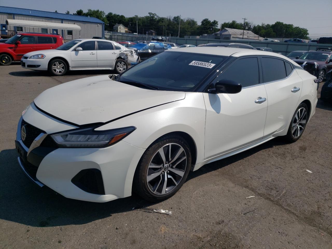 nissan maxima 2019 1n4aa6av1kc379970