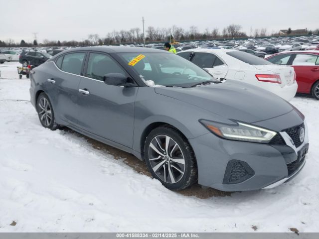 nissan maxima 2019 1n4aa6av1kc383940