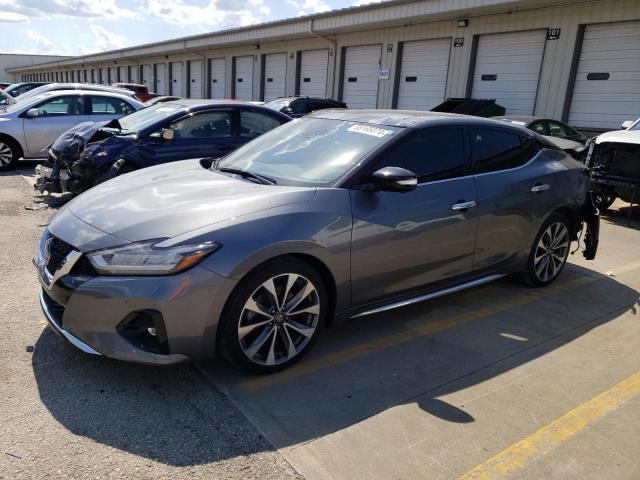 nissan maxima 2019 1n4aa6av7kc381349