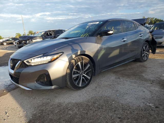 nissan maxima sv 2023 1n4aa6cv1pc501800