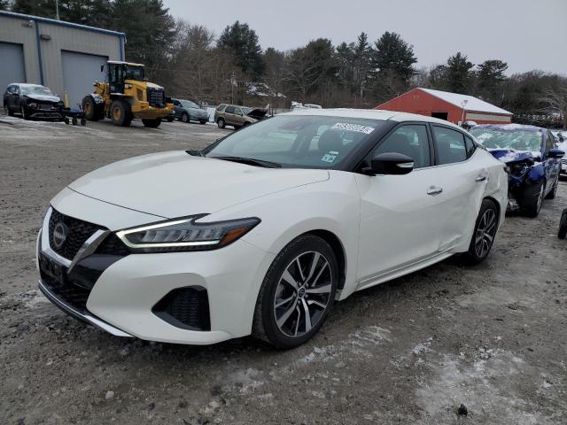 nissan maxima 2023 1n4aa6cv2pc509145