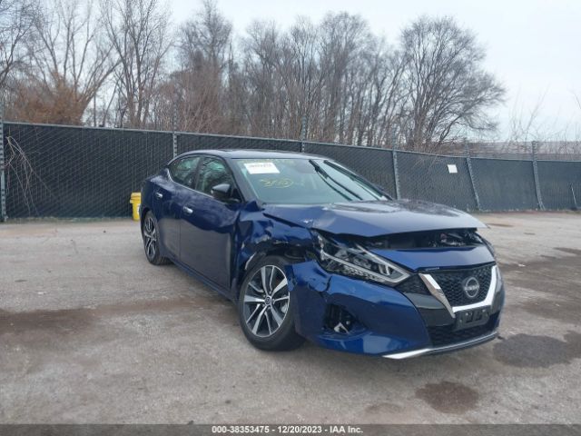 nissan maxima 2023 1n4aa6cv5pc513058