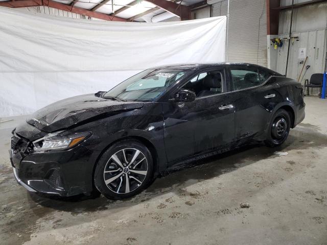 nissan maxima 2023 1n4aa6cv9pc510874