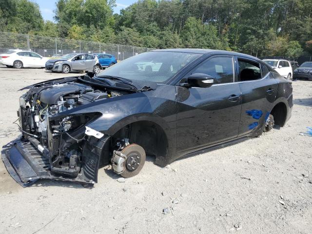 nissan maxima 2023 1n4aa6evxpc506328