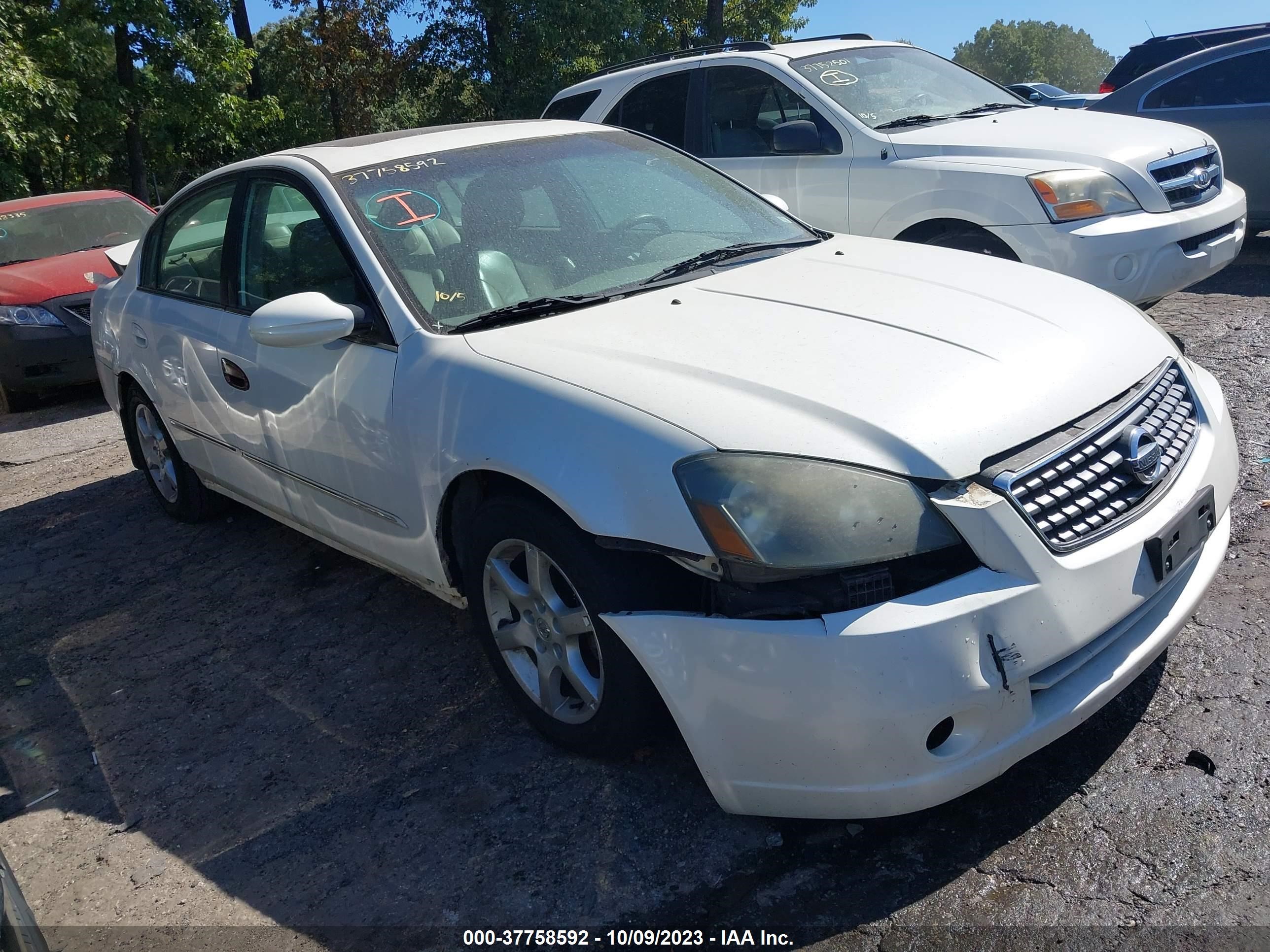 nissan altima 2005 1n4al11d25c328437