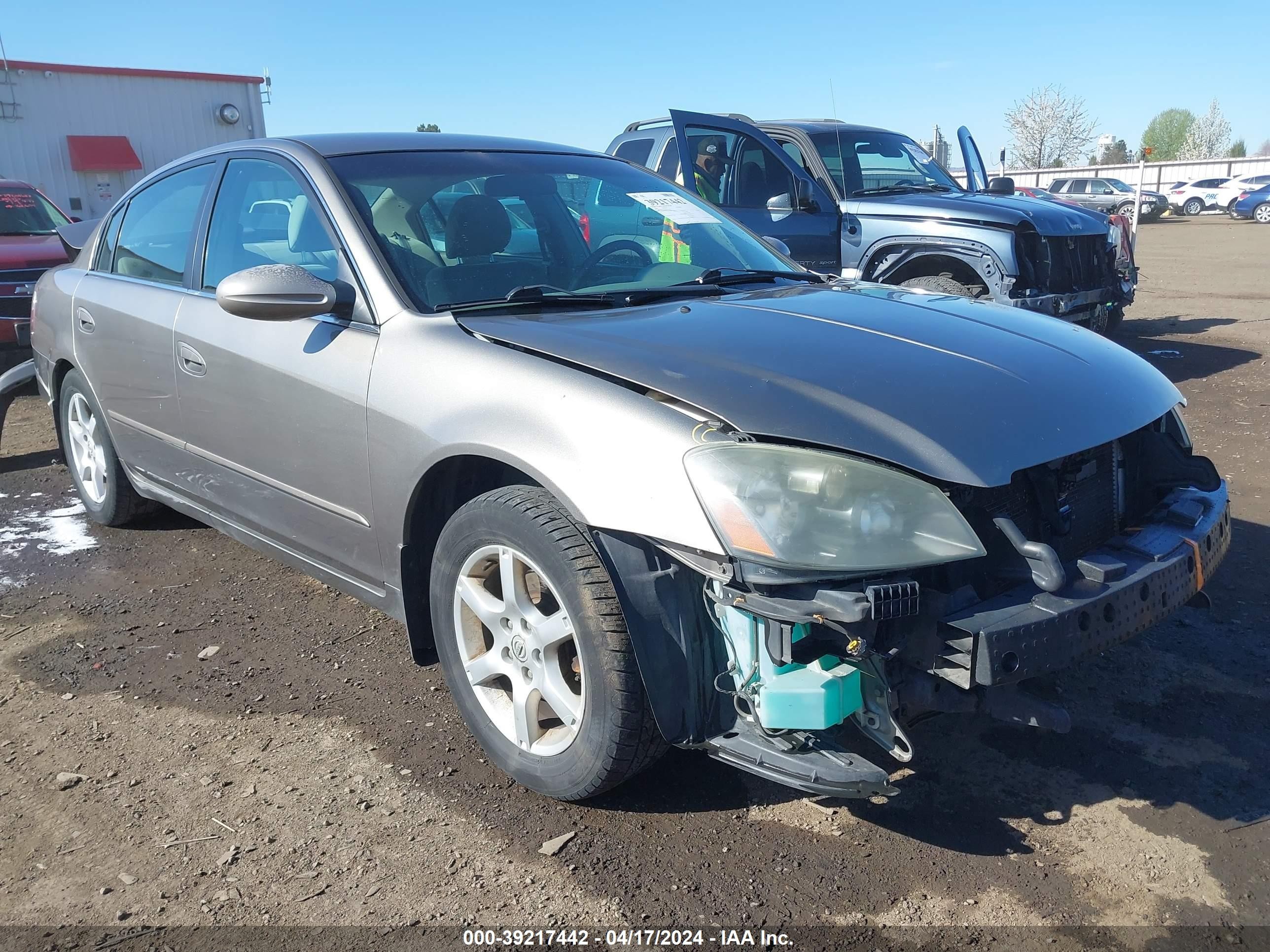 nissan altima 2006 1n4al11dx6n371039