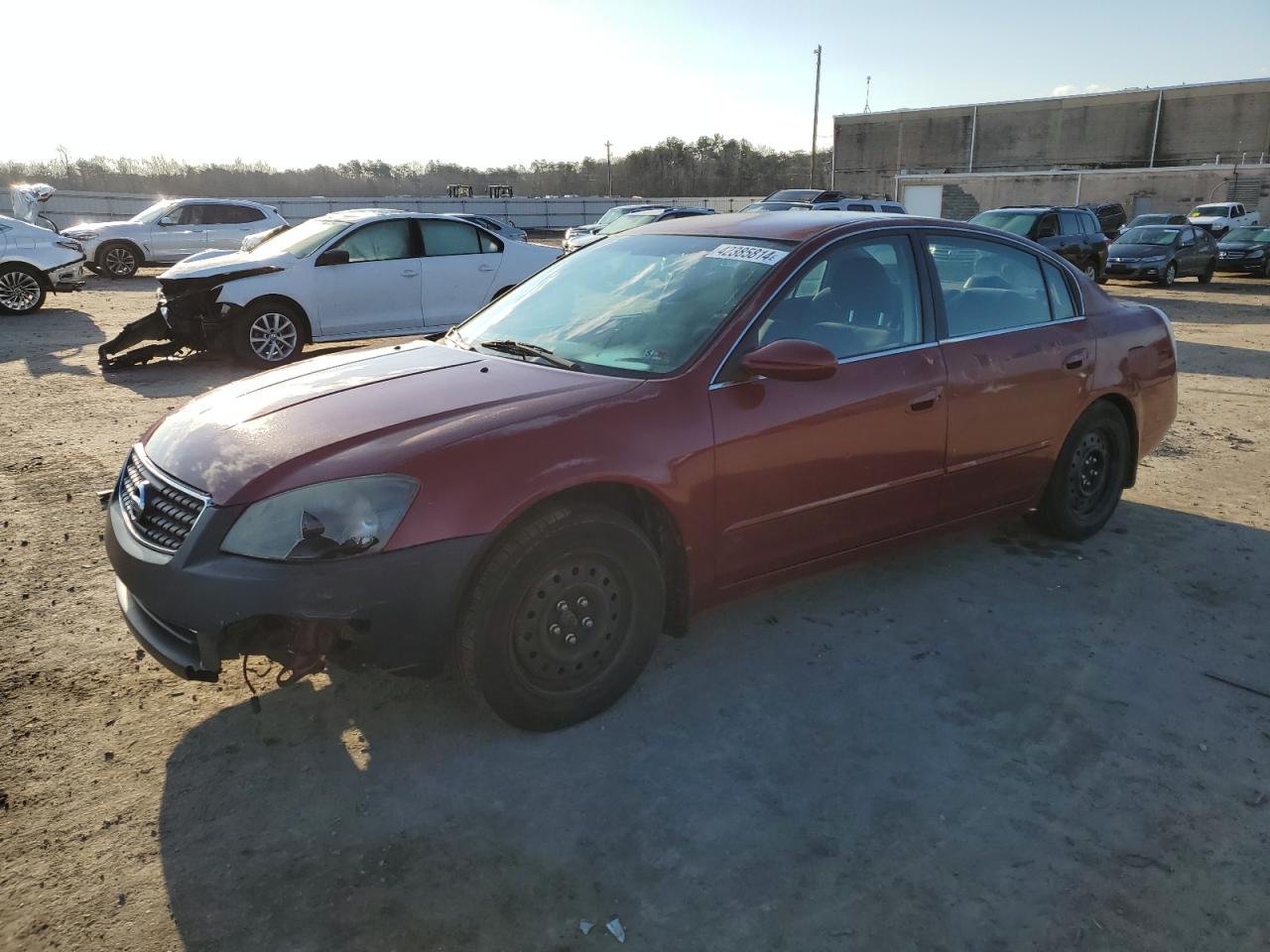 nissan altima 2006 1n4al11ex6c265789