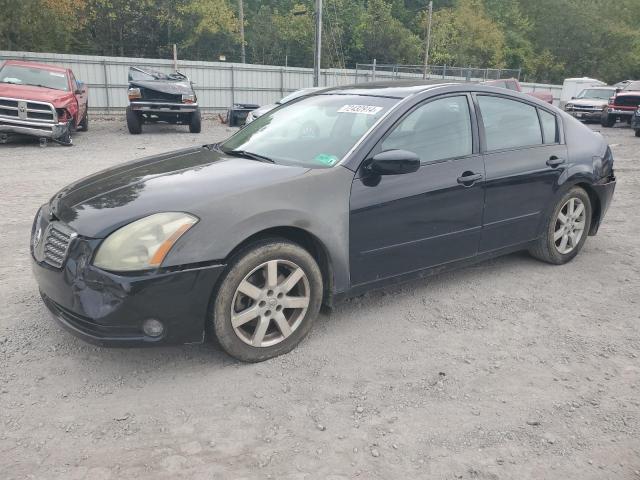 nissan maxima se 2004 1n4ba41e04c833069