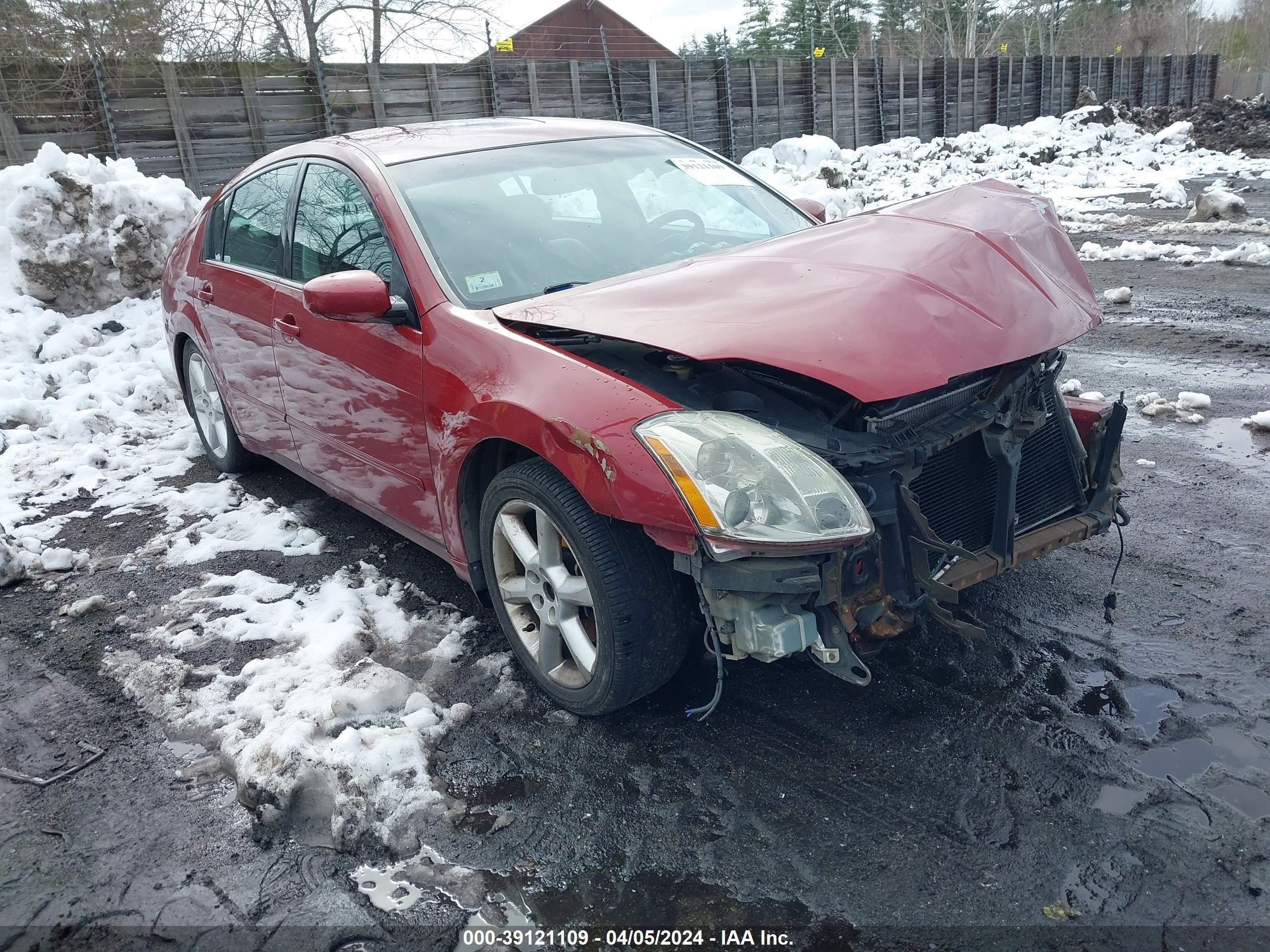 nissan maxima 2004 1n4ba41e14c811985