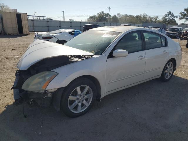 nissan maxima se 2005 1n4ba41e15c864574