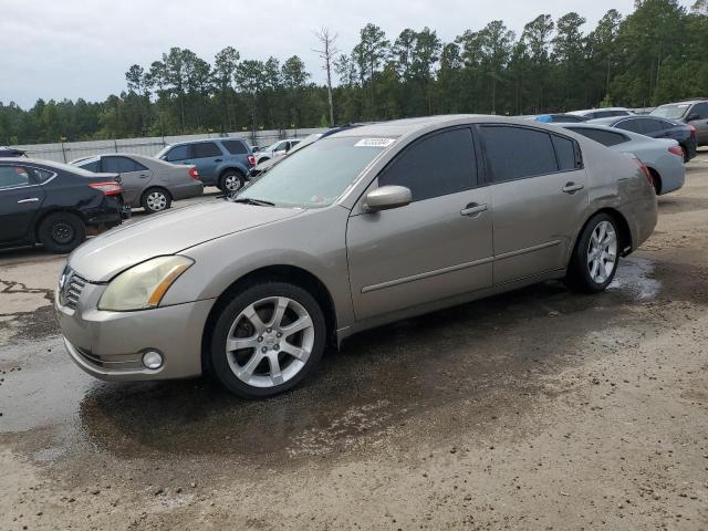 nissan maxima 2004 1n4ba41e34c888731