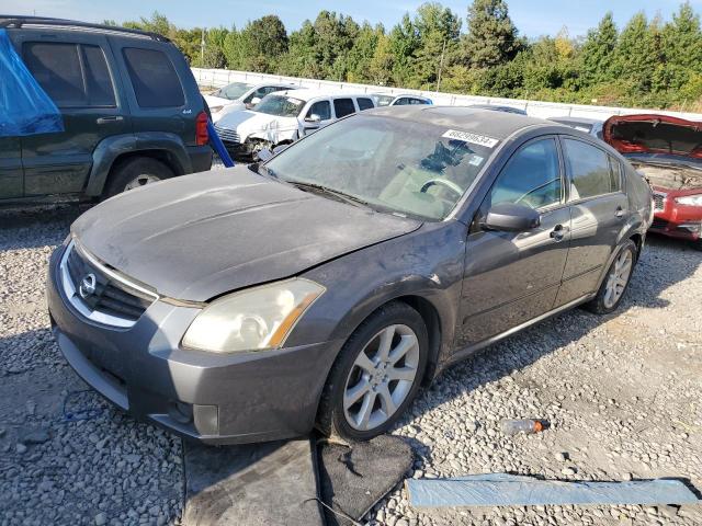 nissan maxima se 2007 1n4ba41e37c859038