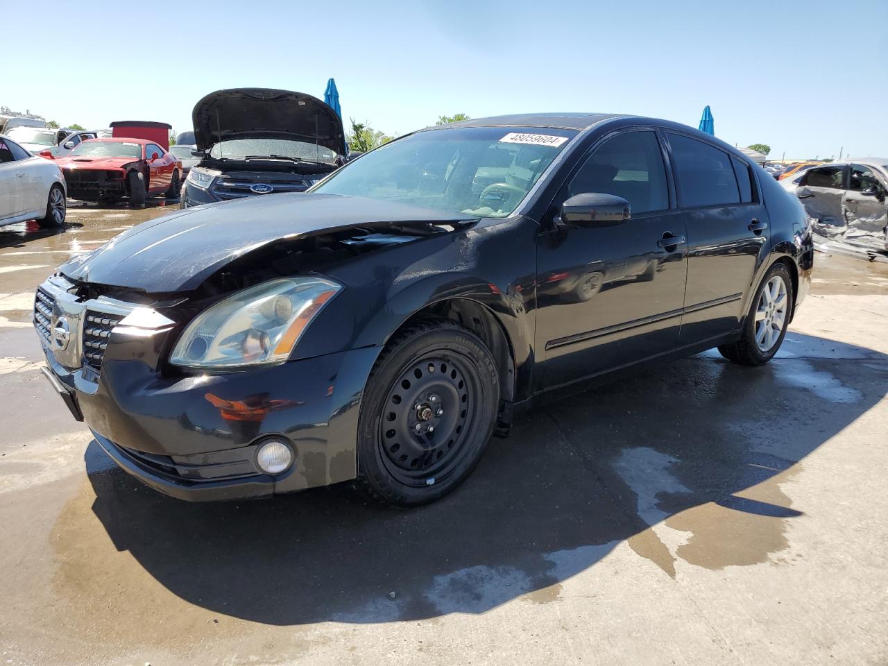 nissan maxima 2005 1n4ba41e45c814669