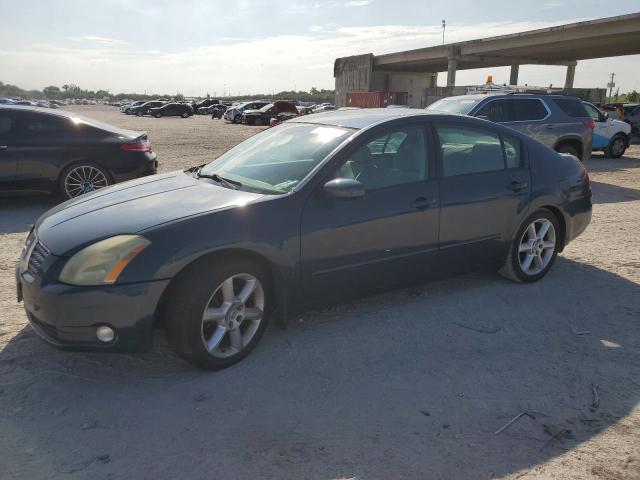 nissan maxima 2005 1n4ba41e45c816812