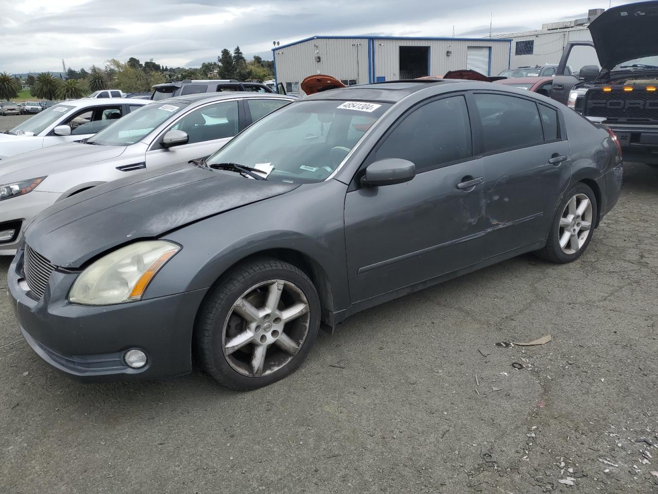 nissan maxima 2005 1n4ba41e55c820531