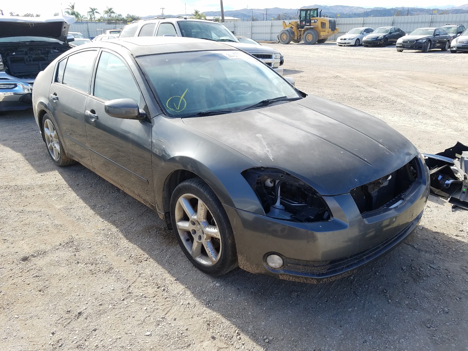 nissan maxima se 2006 1n4ba41e56c803164