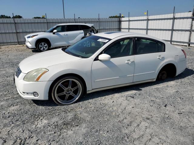 nissan maxima se 2004 1n4ba41e64c850023