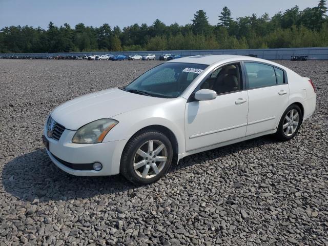 nissan maxima se 2005 1n4ba41e65c864649