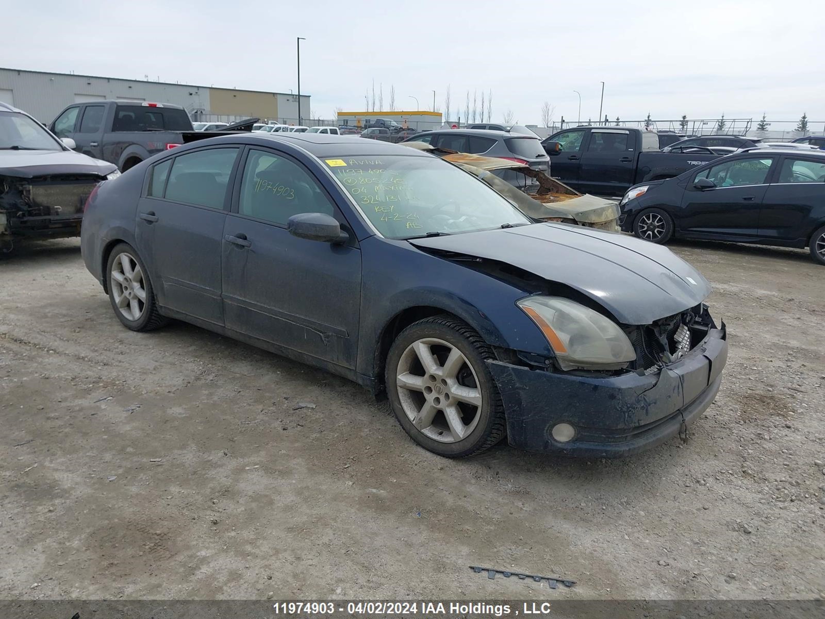 nissan maxima 2004 1n4ba41e84c805245